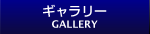 ギャラリー